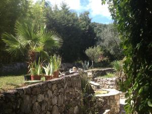 Villas Villa dans ecrin de verdure avec sa grande piscine : photos des chambres