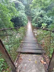 Mi rincón en la montaña.