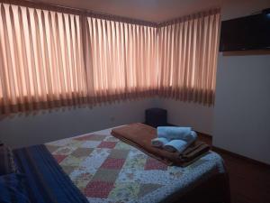 C.A.A apartment temporal pardo 1