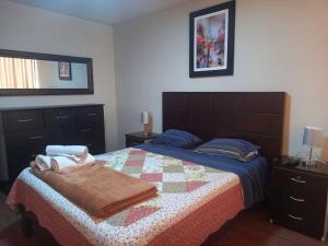 C.A.A apartment temporal pardo 1