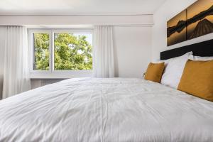 SOHO 5B !Gratis Parken, Free Parking!