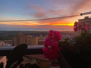 Gallery 123 Luxury Room