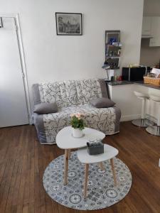 Appartements La tranquillite proche des chateaux de la Loire. : Appartement 1 Chambre