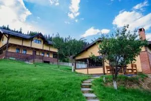 Cabana Todireni Vatra Dornei - Panaci