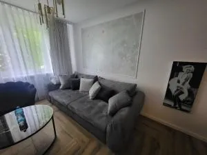 Apartament Gold Centrum - 扎布热