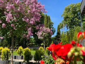 Apartamenty Arkadia przy Amfiteatrze - Czerwonki