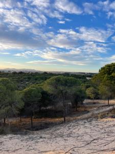 Capitan Friday Studio