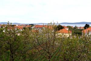 Apartment Ante