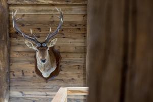 Chalets Le Lodge : photos des chambres