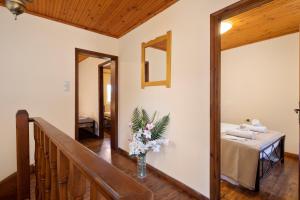 Lemon Tree House