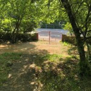 Apartman Kora 