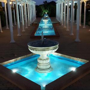 Albatros by SIT ISLA CANELA