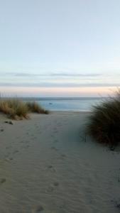 Albatros by SIT ISLA CANELA