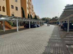 Albatros by SIT ISLA CANELA