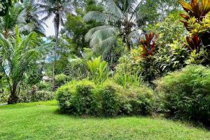 Las Casitas of Villa Paraiso Beachfront & Pool