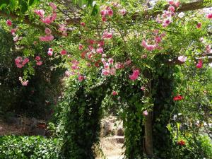 My Room – Villa Vina ® - TER