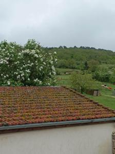 Maisons de vacances Gite a la ferme : photos des chambres