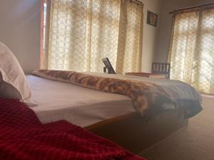 Jimmys homestay
