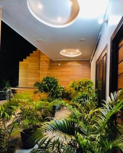 Hotel Silk Inn Luxury At No Cost