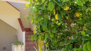 Casa Vacanze Arianna img22