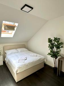 KAPTOL Rooms 
