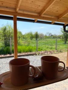 Obedska Bara - Kupinovo Retreat House