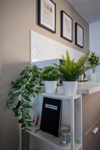 Appartements Redbrick’s Bergerac, Au coeur du centre historique : photos des chambres