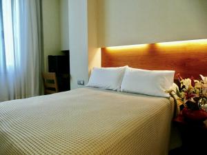 Basic Double Room room in Hotel Turin