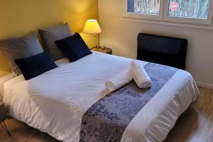 Appartements Bel Apt Terrasse a 2 pas du Lac : photos des chambres