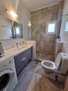 Luxury & Modern Apartment