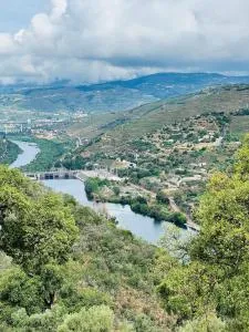 Quinta da Pinguinha - Douro - Armamar
