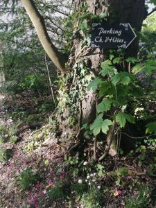 Sejours chez l'habitant Chambre Le Notre Le Domaine Des Jardins De Bracquetuit : photos des chambres