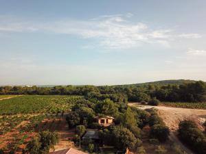 Sejours a la campagne Cabane dans les arbres au coeur d'un vignoble : photos des chambres