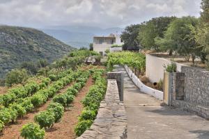 Amvikas suites-Sitia, by Comfortbnb