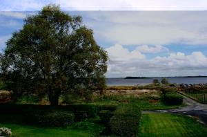 Standard Twin Room room in Lakeland Midsummer Lakehouse