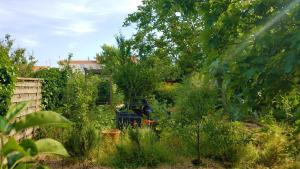 Appartements Les EcoloGites de la Rochelle : photos des chambres