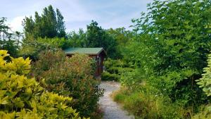 Appartements Les EcoloGites de la Rochelle : photos des chambres