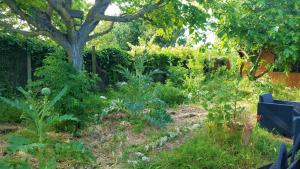 Appartements Les EcoloGites de la Rochelle : photos des chambres