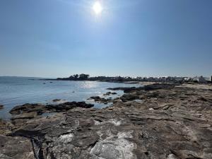 Appartements La Dune *30m de la mer*parking prive* : photos des chambres