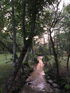 B&B / Chambres d'hotes Le Mill : photos des chambres