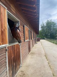 Chalets Xalet Montana : photos des chambres