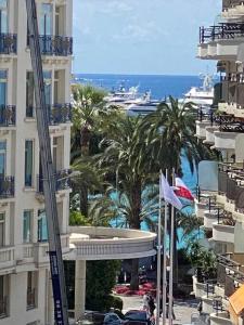 Paca Properties - 17R - T3 Spacieux