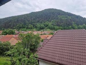 pensiunea carul mare