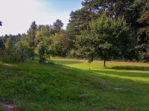 Ferienwohnung zwischen Wald und Strand