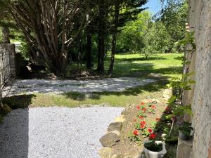 Maisons de vacances Gite des Canelles : photos des chambres