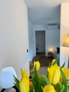 Appartements La Rose Tremiere : photos des chambres