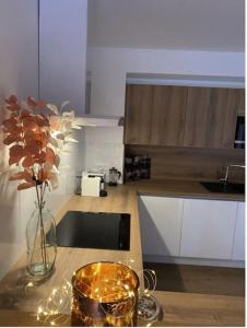 Appartements LE DOUX MELEZE : photos des chambres