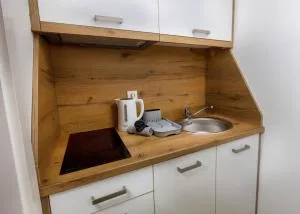 Vila Bor apartmani - Bečej