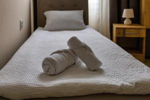 Vila Bor apartmani