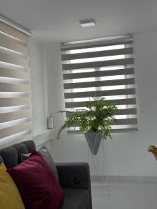 Apartasuites Mardini